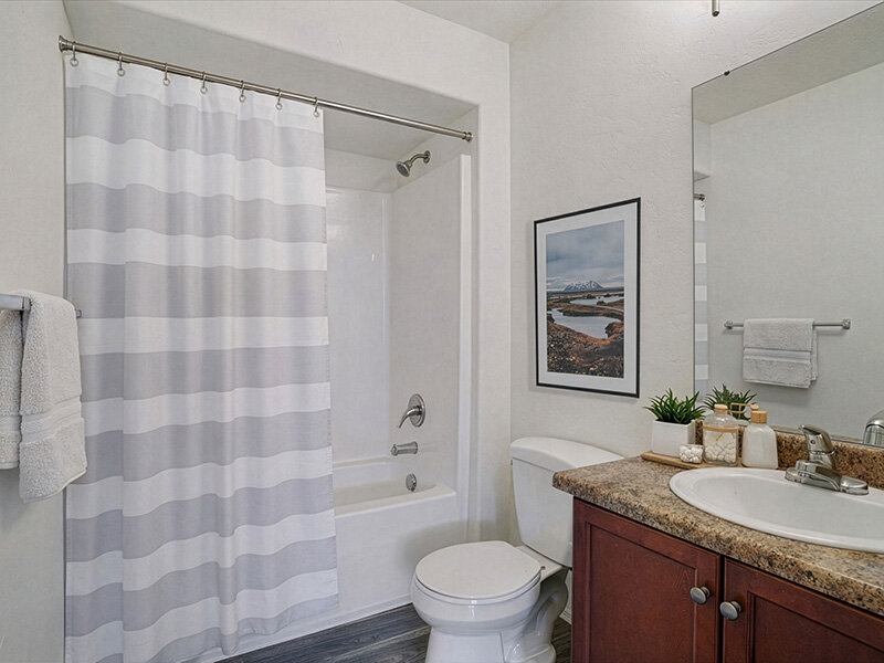 Bathroom with Shower Curtain | Wasatch Commons
