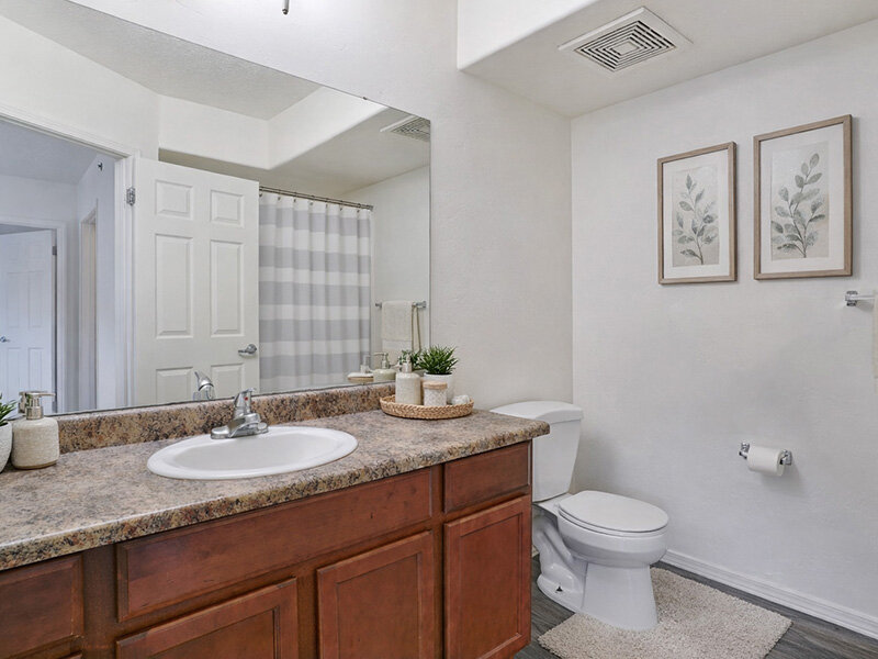 Bathroom with Bathroom Sink and Wood Style Flooring | Wasatch Commons