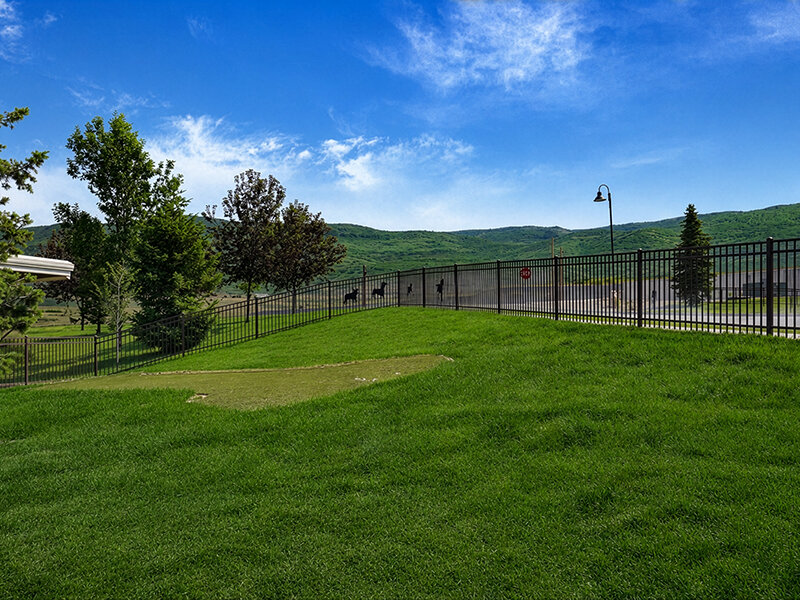 Dog Park | Wasatch Commons