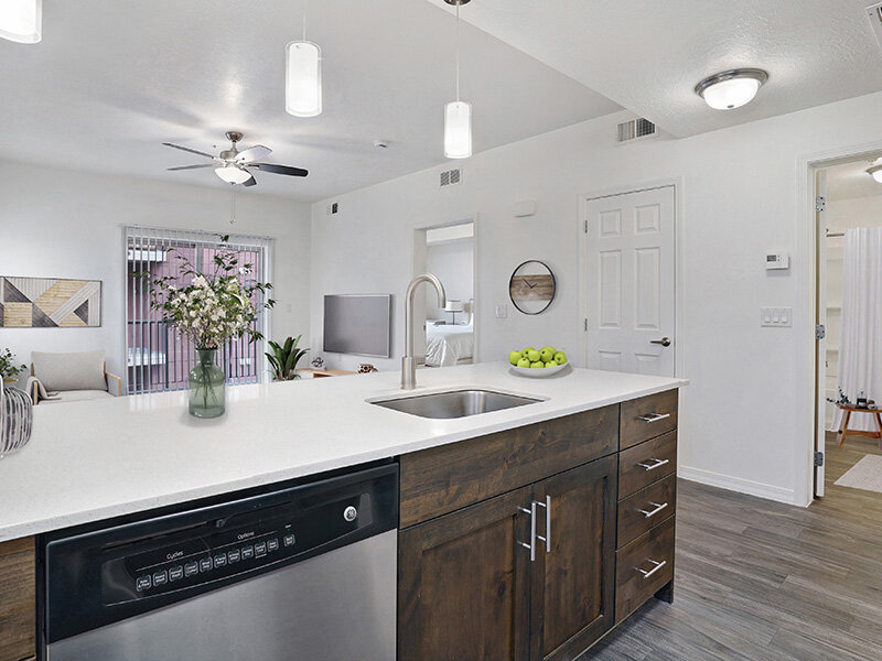Kitchen Counter with Dishwasher and Wood Style Cupboards | Wasatch Commons