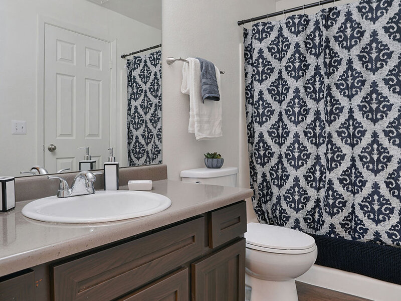 Bathroom with Sink and Shower | Elmwood