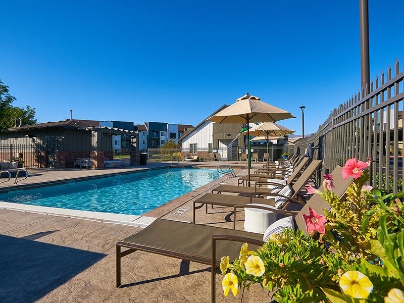 Pool Lounge | Wilshire Place