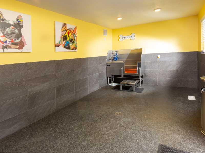 Dog Wash center | Sandpiper Apartments SLC, UT