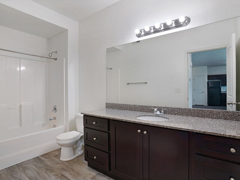 Bathroom with Mirror and Lights | Eastgate at Greyhawk