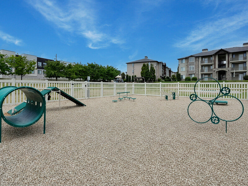 Outdoor Dog Park | Eastgate at Greyhawk