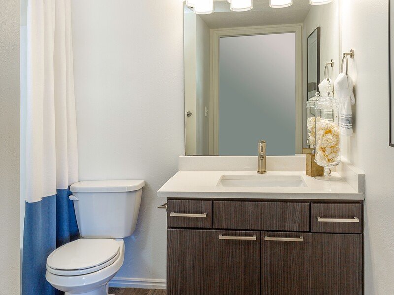 Fully Renovated Bathroom | Woodgate Apartments