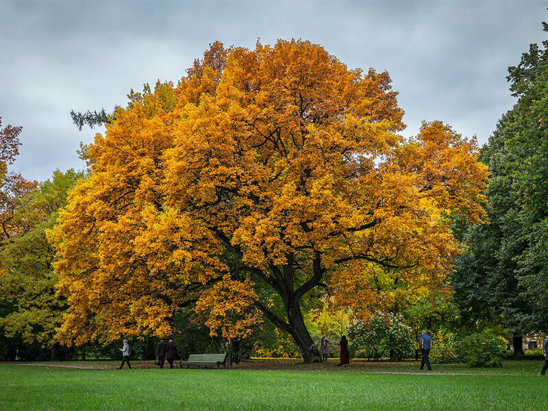 Sugar House Park