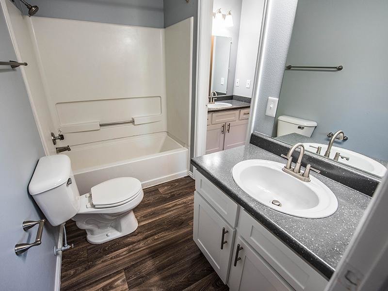 Sink and Shower | Hidden Cove Apartments