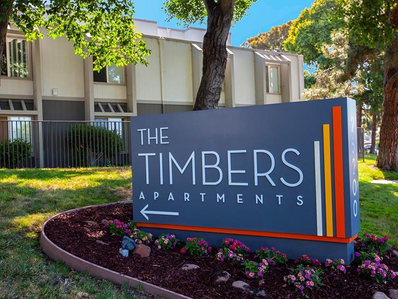 Monument Sign | The Timbers Apartments 