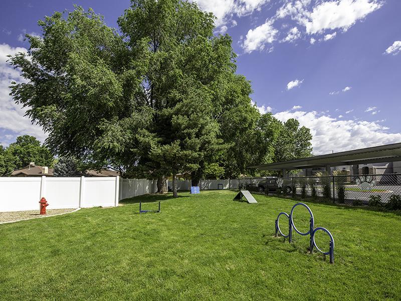 Apartments In Sandy For Rent - Alpine Meadows - Dog Park with Equipment