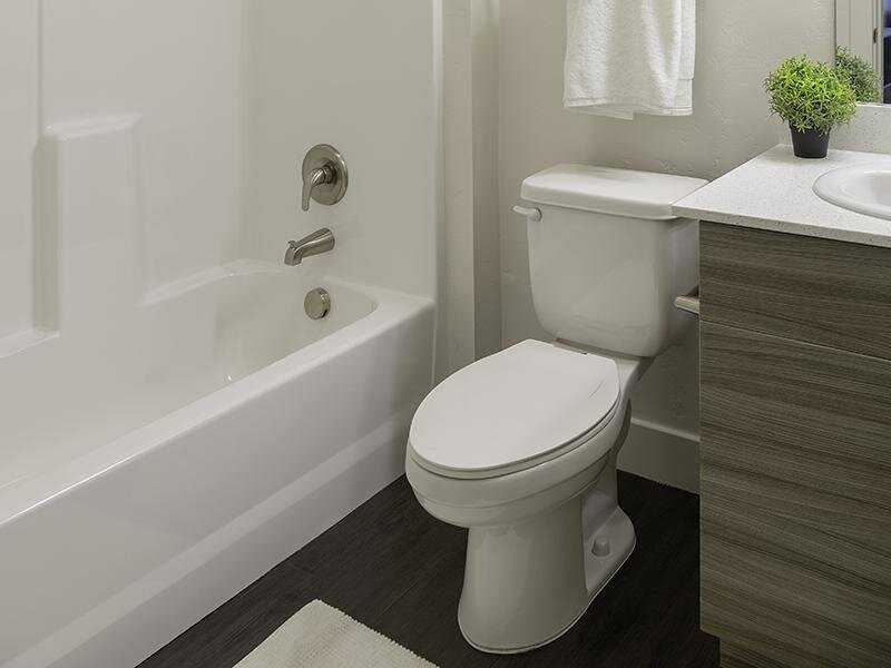 Bathroom | Haxton Apartments