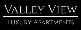 Valley View Logo - Special Banner