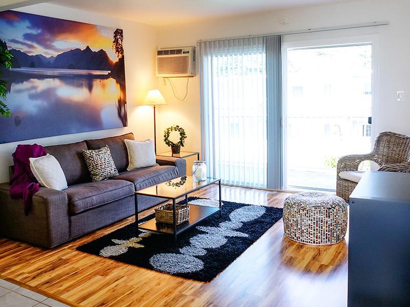 Living Room - Patio - Sun Valley Apartments - Cali