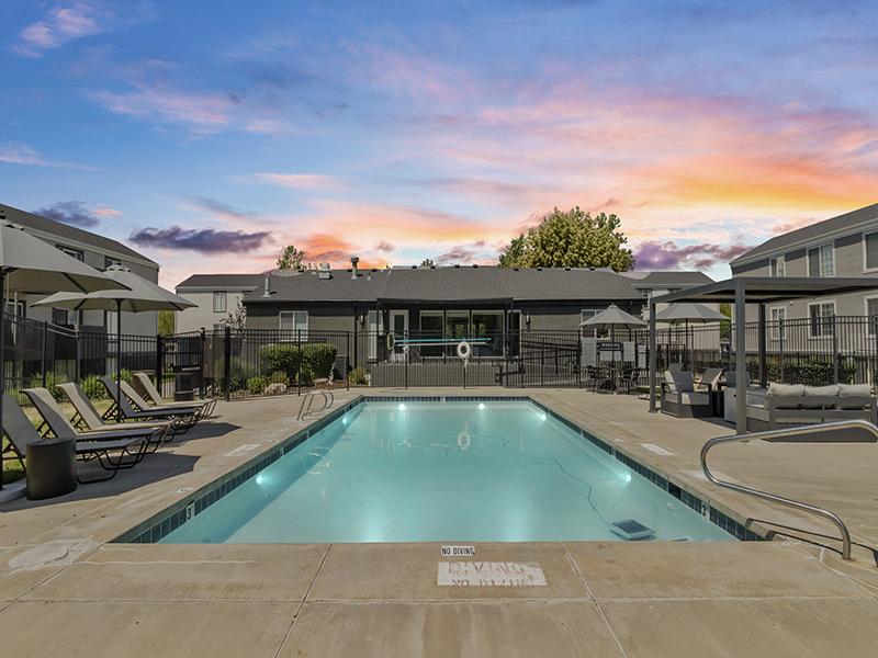 Outdoor Pool | Proximity Apartment Homes