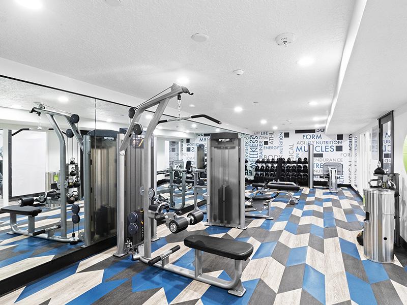 Fitness Room | Proximity Apartment Homes