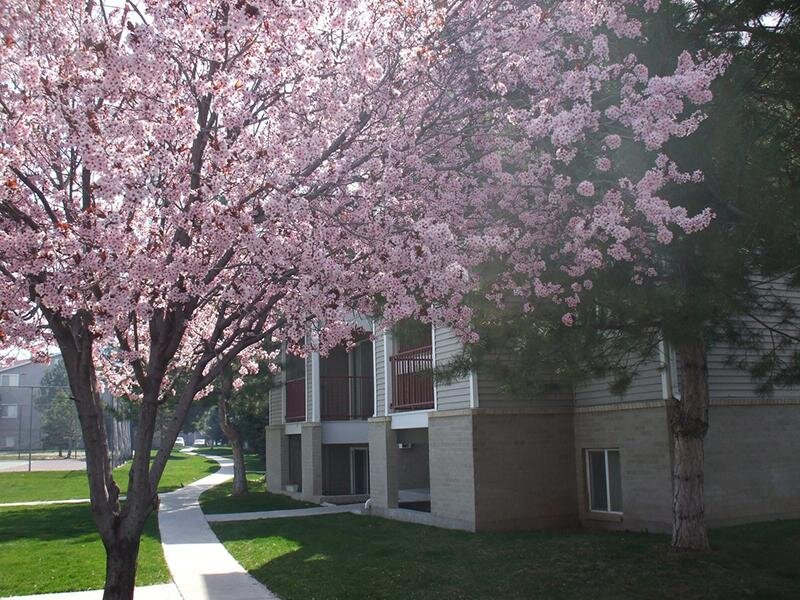 Walking Paths | Village Park Apartments