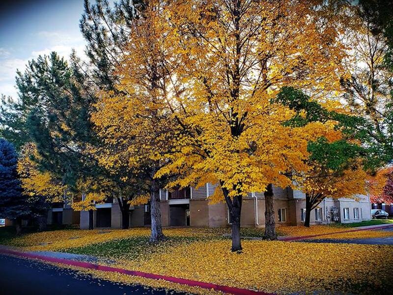 Exterior | Village Park Apartments