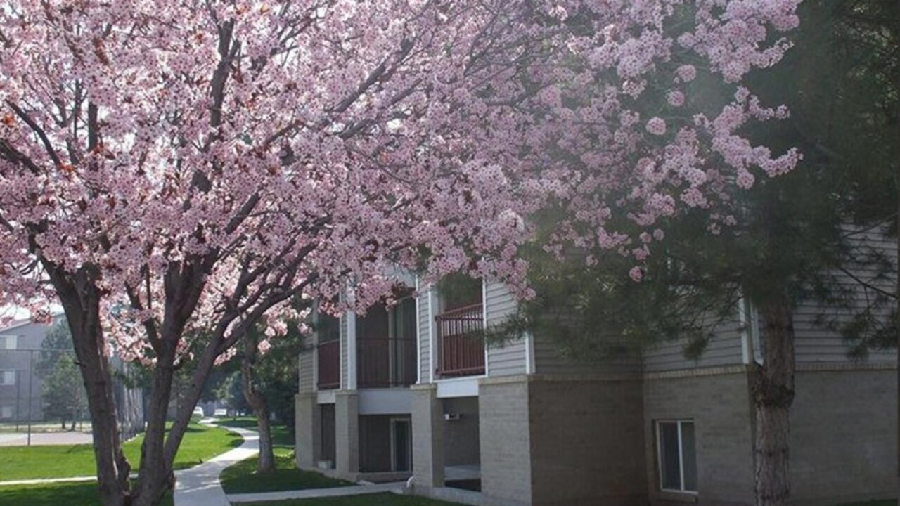 Village Park Apartments Neighborhood