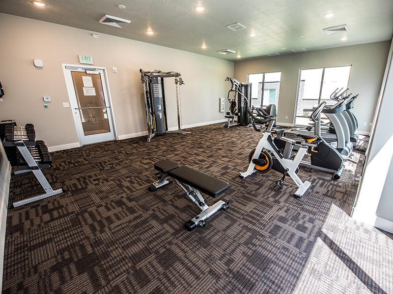 Gym | Mill Point Vineyard Apartments For Rent