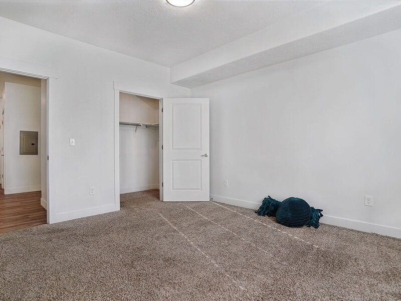 Apartment Bedroom Closet with Plush Carpeted Flooring | Mill Point