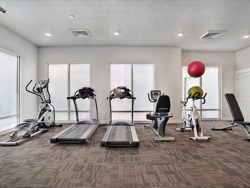 Community Treadmills and Gym | Mill Point