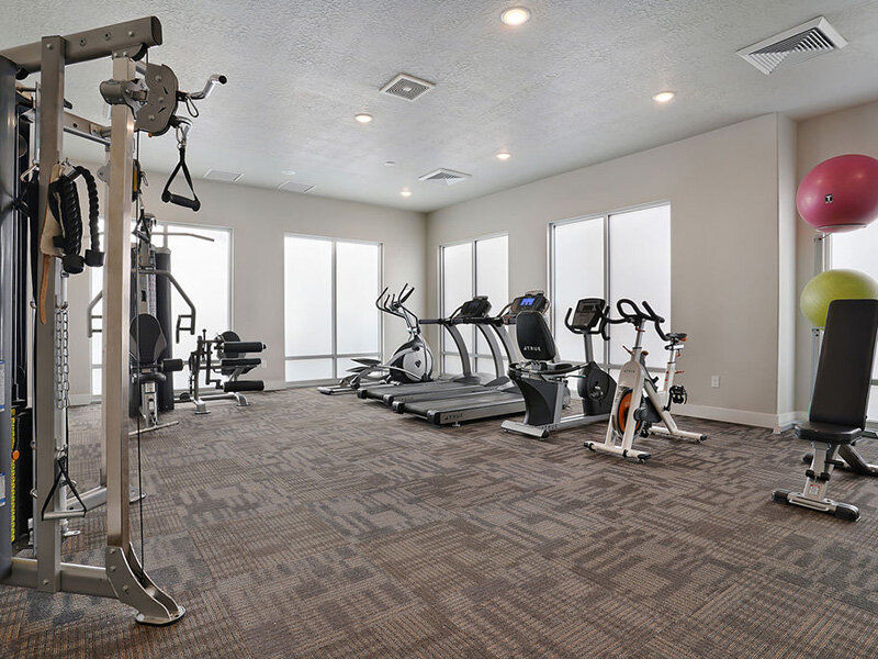 Community Gym with Fitness Equipment | Mill Point