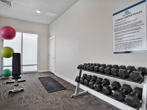 Community Gym with Weights | Mill Point