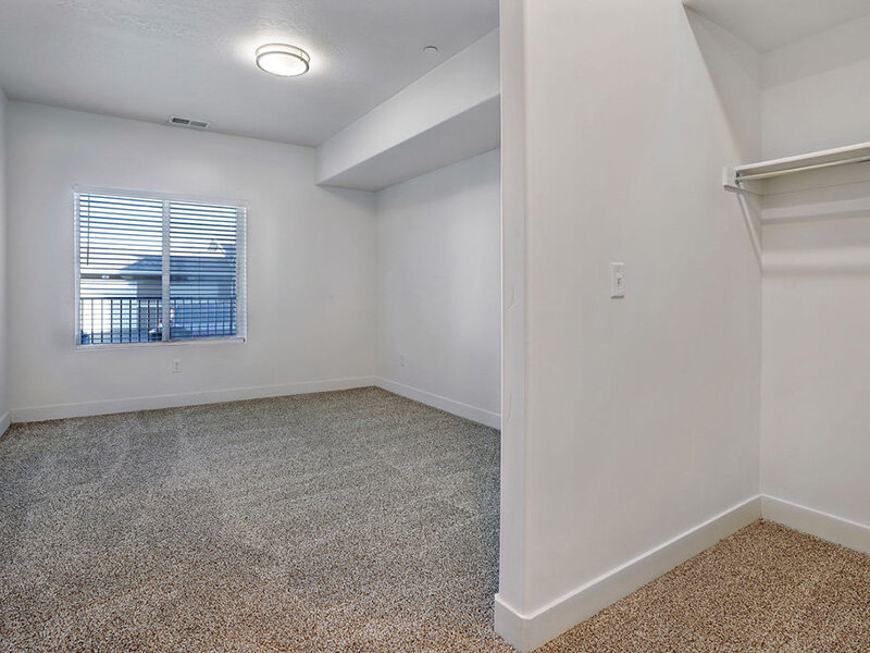 Carpeted Closet and Bedroom | Mill Point
