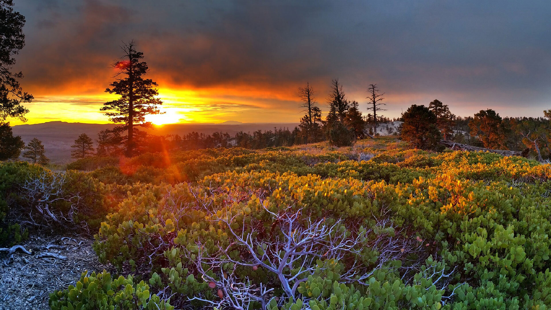 Grovecrest Villas Apartments in Pleasant Grove, UT