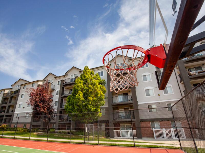Basketball Hoop | Palladio Apartments