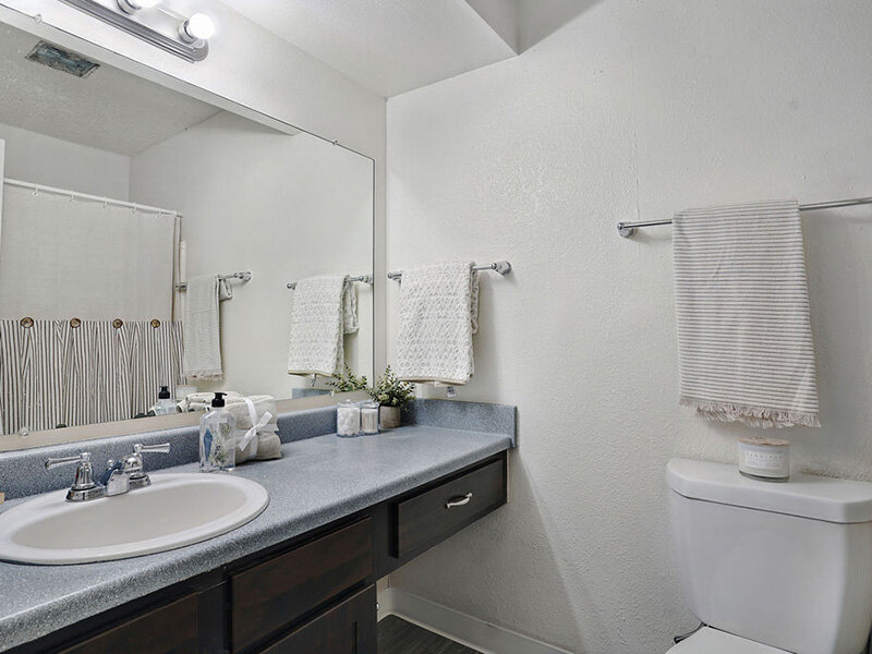 Bathroom Sink | The Village at Raintree