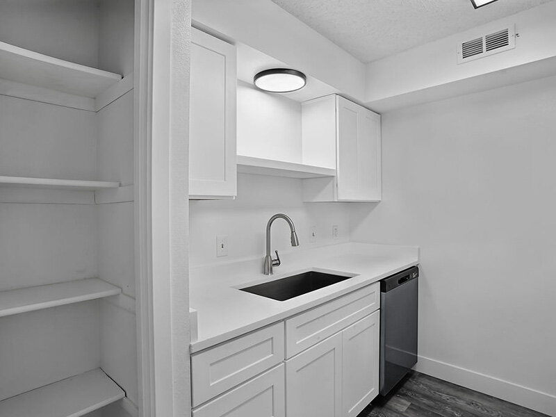 Luxury Kitchen Sink | The Village at Raintree