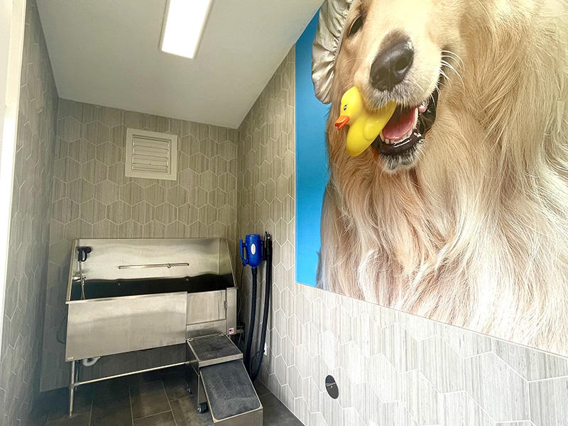Pet Wash Station | Chaparral Apartments in Palmdale, CA