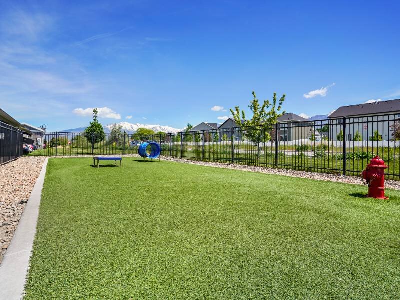 Dog Park | Meadows at American Fork