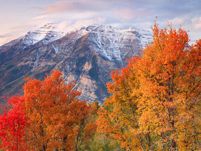 Apartments for Rent in Payson, UT Floor Plans at Payson Point