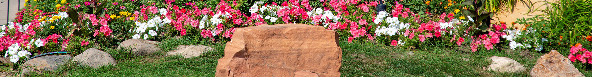 Resident Services at Tuscany Cove