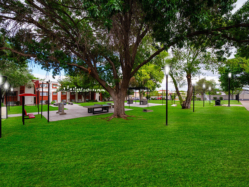 Apartment Property with Benches with Outdoor Dining and BBQ Grills | Artista