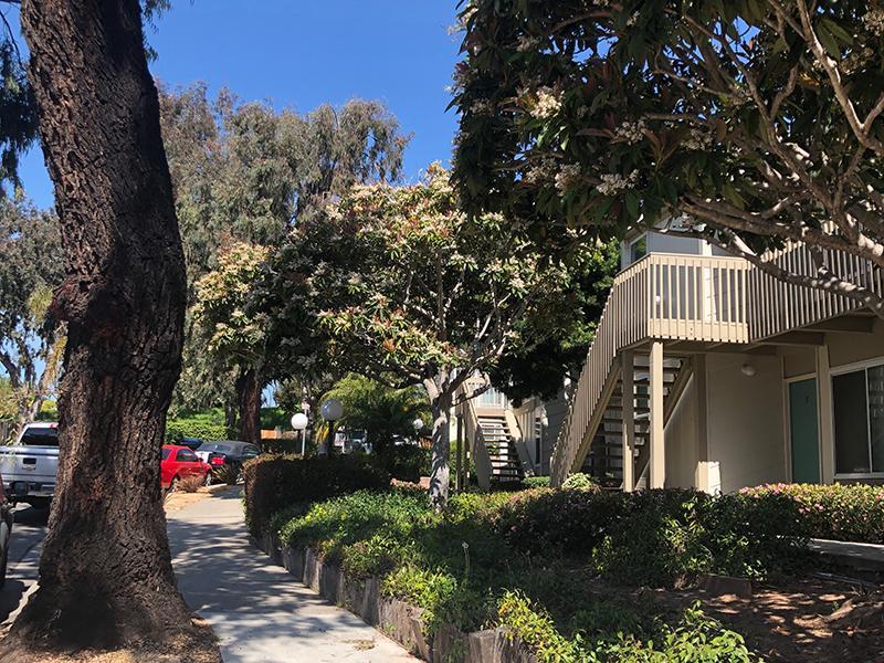 Citywalk Apartments in Santa Barbara, CA