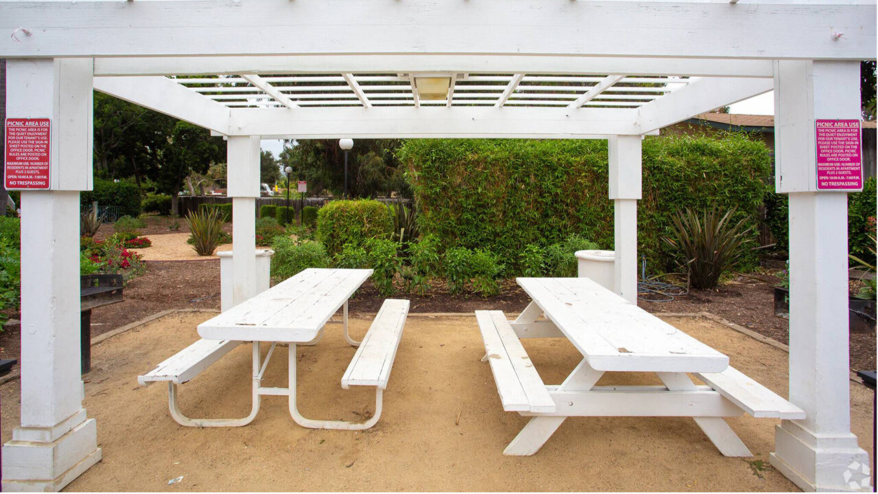 CityWalk Apartment Homes Neighborhood