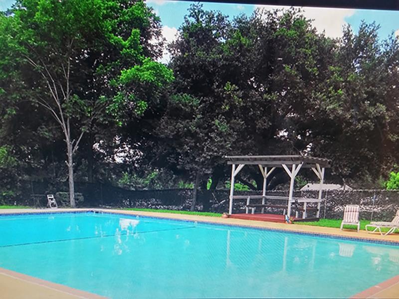 Swimming Pool | Brick Maze Apartments in Nacogdoches, TX