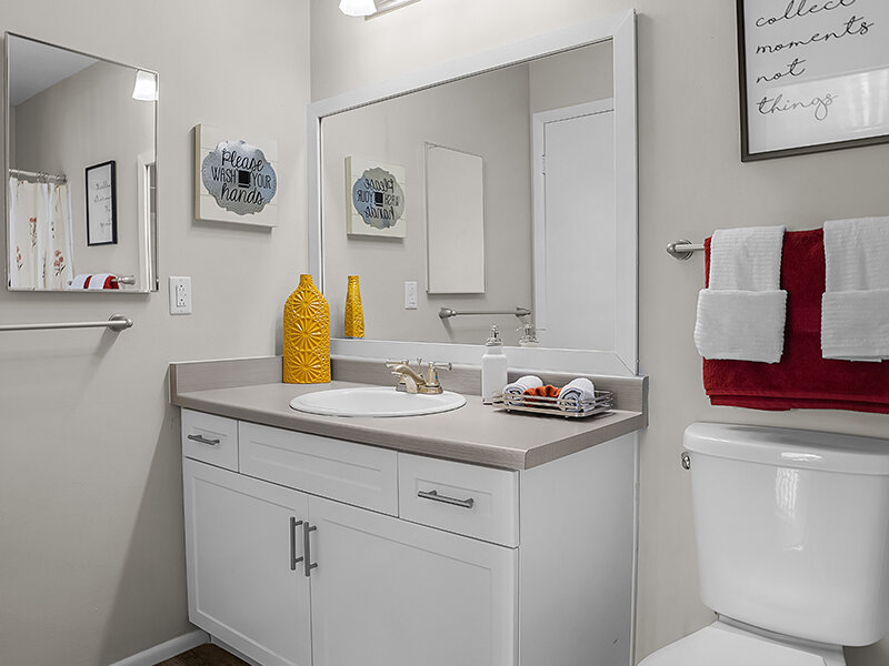 Bathroom Vanity | Mountain Shadows Apartments