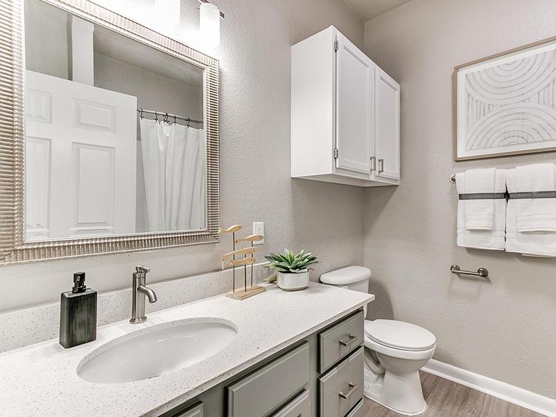 Bathroom | The Heights at Battle Creek Apartments