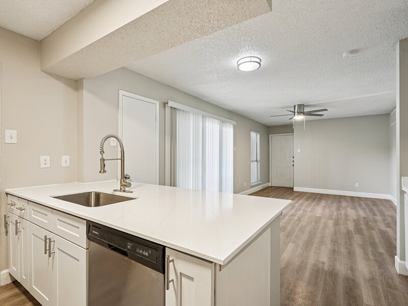 Dishwasher | Villas on Rosemeade East