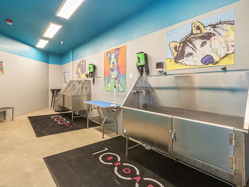 Pet Wash | SB1K