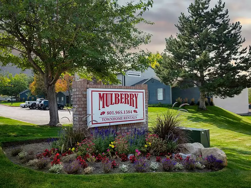 Sign | Mulberry Park