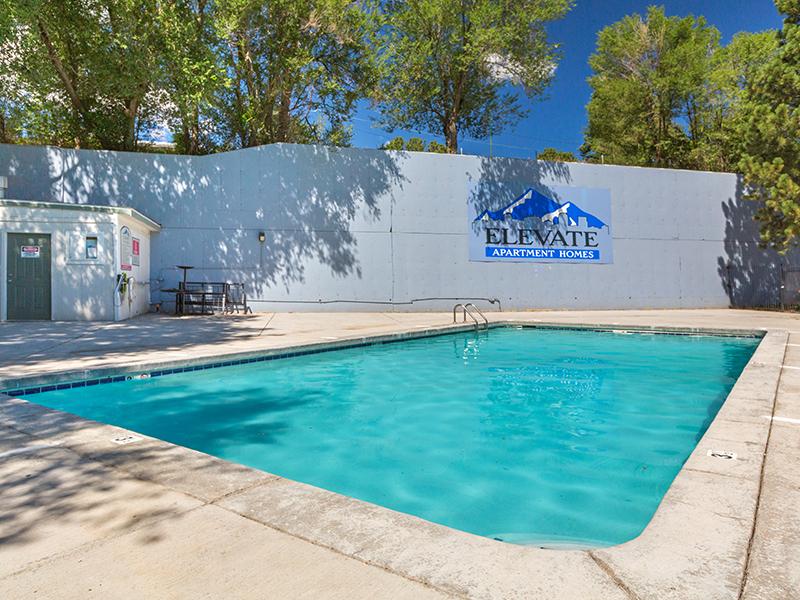 Swimming Pool | Elevate Colorado Springs in Colorado Springs