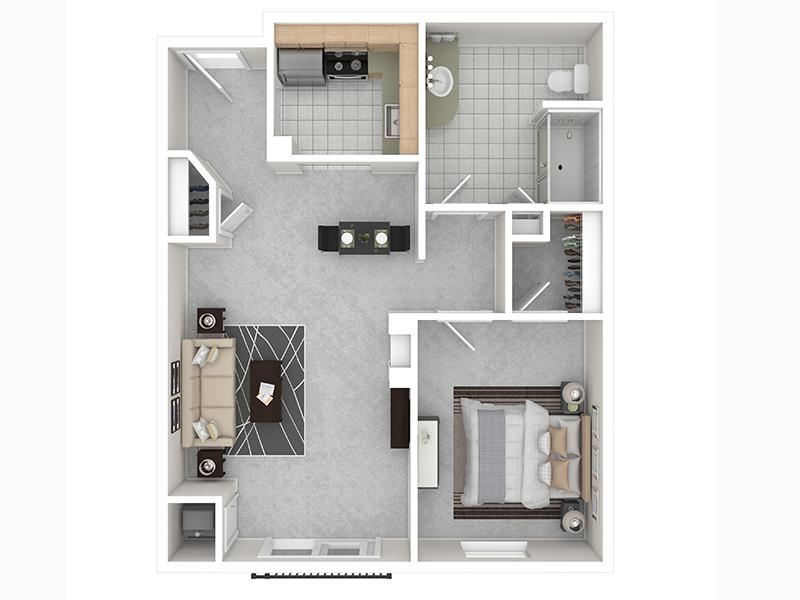 Riley Court Apartments Floor Plan 1x1