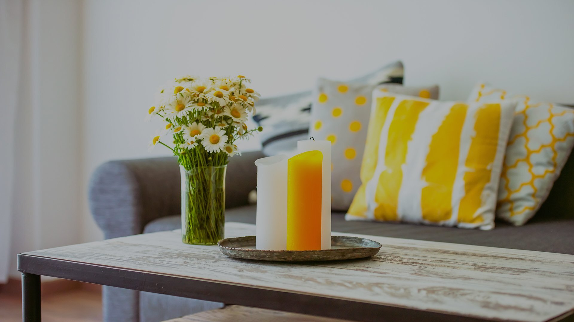 Pinegate Apartments Amenities