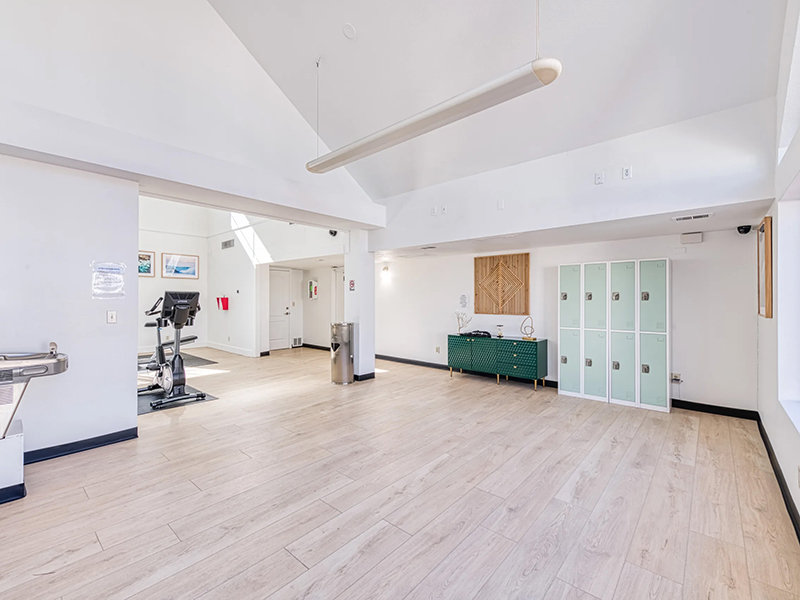 Fitness Area | The Goose
