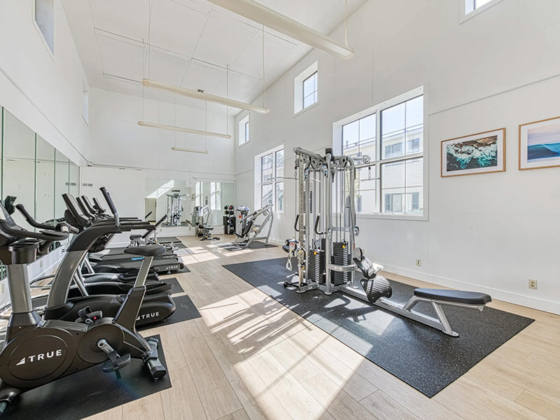 Fitness Room | The Goose